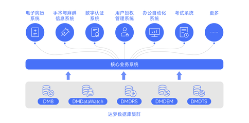 達(dá)夢(mèng)數(shù)據(jù)助力廈門大學(xué)附屬成功醫(yī)院核心業(yè)務(wù)系統(tǒng)信創(chuàng)改造 — 打造國(guó)產(chǎn)數(shù)據(jù)庫服務(wù)新模式